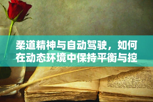 柔道精神与自动驾驶，如何在动态环境中保持平衡与控制？
