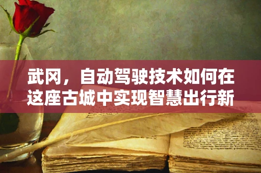 武冈，自动驾驶技术如何在这座古城中实现智慧出行新篇章？
