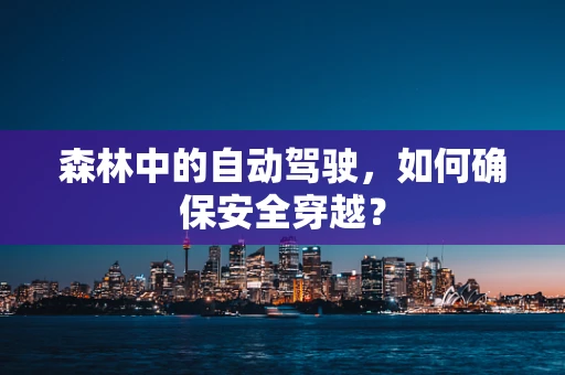 森林中的自动驾驶，如何确保安全穿越？