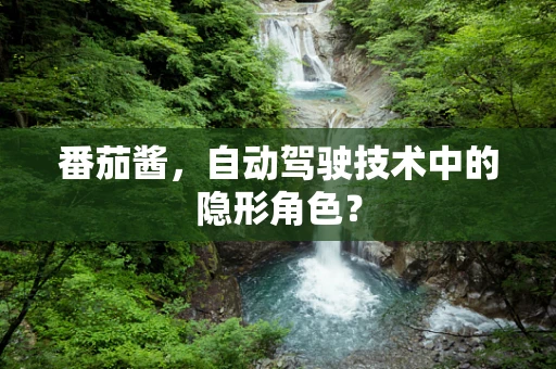 番茄酱，自动驾驶技术中的隐形角色？
