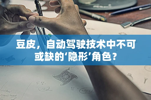 豆皮，自动驾驶技术中不可或缺的‘隐形’角色？