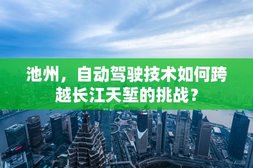 池州，自动驾驶技术如何跨越长江天堑的挑战？