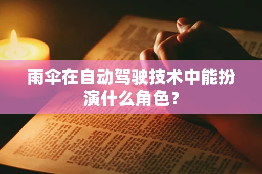 雨伞在自动驾驶技术中能扮演什么角色？