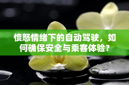 愤怒情绪下的自动驾驶，如何确保安全与乘客体验？