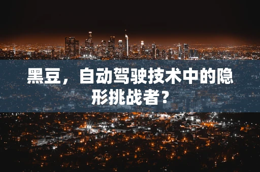 黑豆，自动驾驶技术中的隐形挑战者？