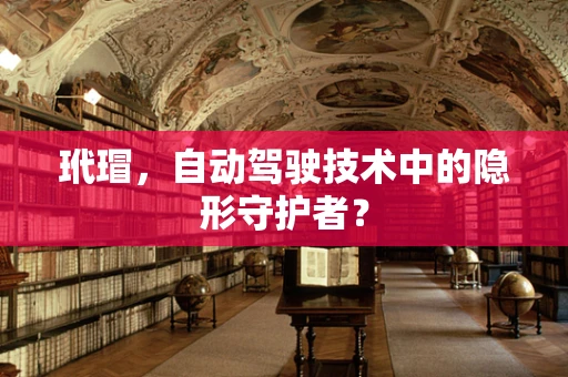 玳瑁，自动驾驶技术中的隐形守护者？