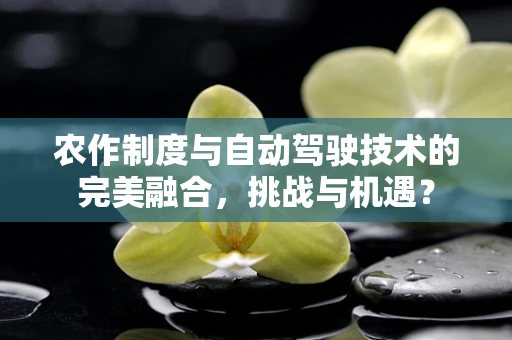 农作制度与自动驾驶技术的完美融合，挑战与机遇？