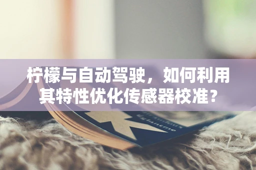 柠檬与自动驾驶，如何利用其特性优化传感器校准？