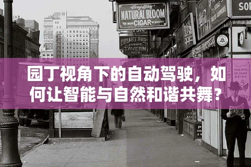 园丁视角下的自动驾驶，如何让智能与自然和谐共舞？