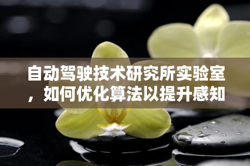 自动驾驶技术研究所实验室，如何优化算法以提升感知精度？
