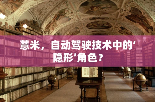 薏米，自动驾驶技术中的‘隐形’角色？