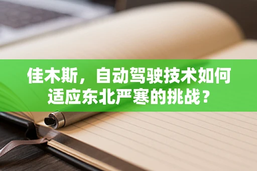 佳木斯，自动驾驶技术如何适应东北严寒的挑战？