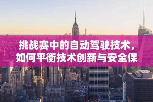 挑战赛中的自动驾驶技术，如何平衡技术创新与安全保障？