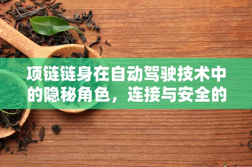 项链链身在自动驾驶技术中的隐秘角色，连接与安全的双重考量