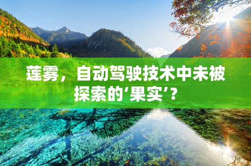 莲雾，自动驾驶技术中未被探索的‘果实’？