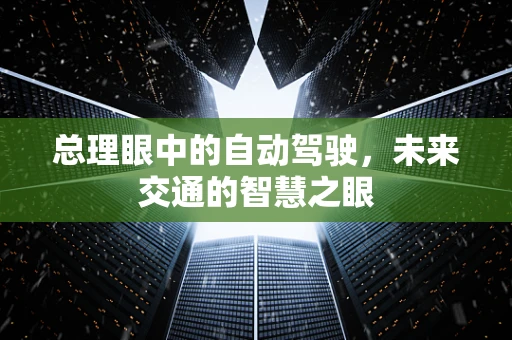 总理眼中的自动驾驶，未来交通的智慧之眼
