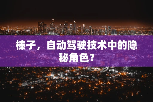 榛子，自动驾驶技术中的隐秘角色？