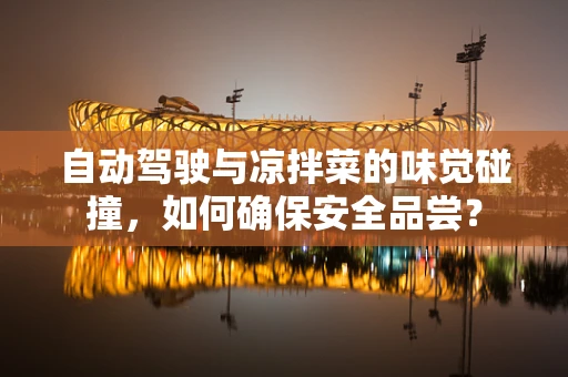 自动驾驶与凉拌菜的味觉碰撞，如何确保安全品尝？