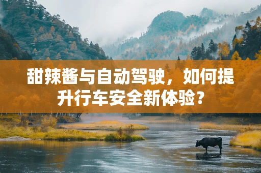 甜辣酱与自动驾驶，如何提升行车安全新体验？