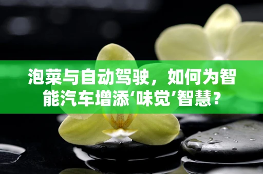 泡菜与自动驾驶，如何为智能汽车增添‘味觉’智慧？