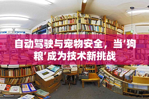 自动驾驶与宠物安全，当‘狗粮’成为技术新挑战
