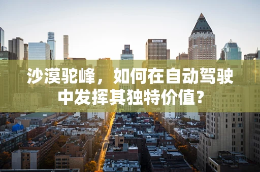 沙漠驼峰，如何在自动驾驶中发挥其独特价值？