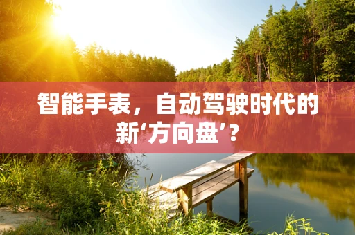 智能手表，自动驾驶时代的新‘方向盘’？
