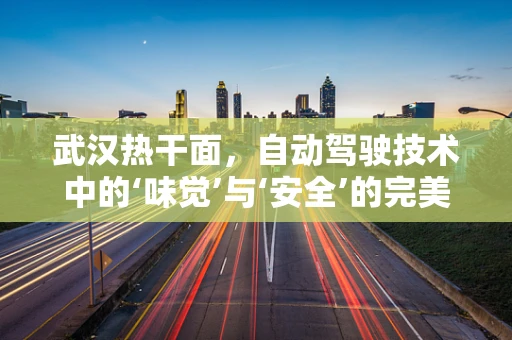 武汉热干面，自动驾驶技术中的‘味觉’与‘安全’的完美融合？
