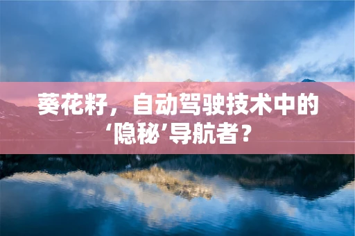 葵花籽，自动驾驶技术中的‘隐秘’导航者？