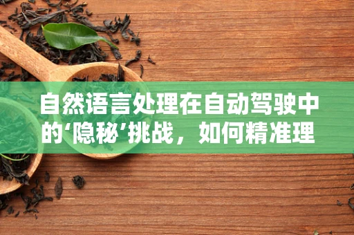 自然语言处理在自动驾驶中的‘隐秘’挑战，如何精准理解乘客指令？