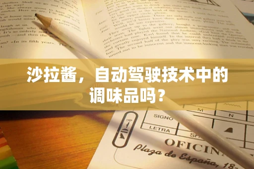 沙拉酱，自动驾驶技术中的调味品吗？