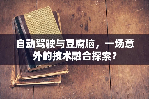 自动驾驶与豆腐脑，一场意外的技术融合探索？