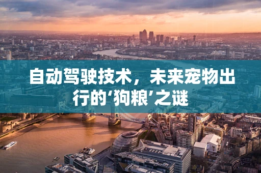 自动驾驶技术，未来宠物出行的‘狗粮’之谜