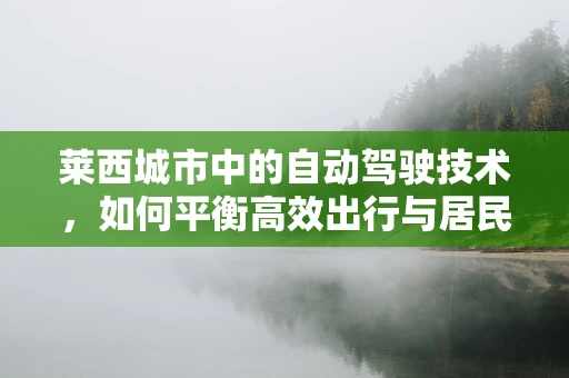 莱西城市中的自动驾驶技术，如何平衡高效出行与居民隐私？