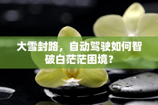 大雪封路，自动驾驶如何智破白茫茫困境？