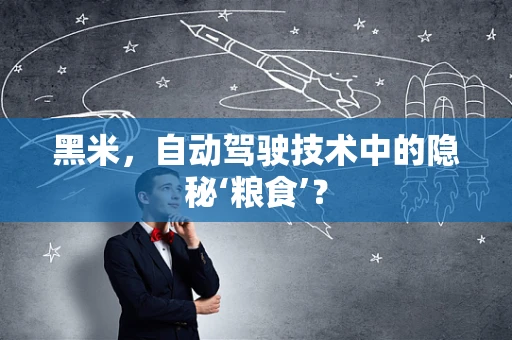 黑米，自动驾驶技术中的隐秘‘粮食’？