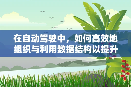 在自动驾驶中，如何高效地组织与利用数据结构以提升算法性能？