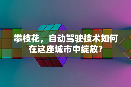 攀枝花，自动驾驶技术如何在这座城市中绽放？
