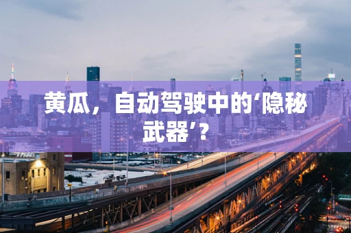 黄瓜，自动驾驶中的‘隐秘武器’？