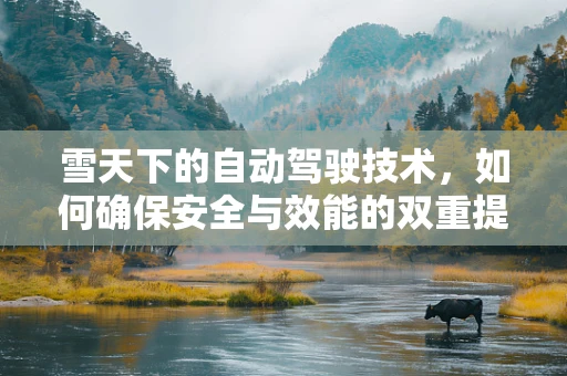 雪天下的自动驾驶技术，如何确保安全与效能的双重提升？