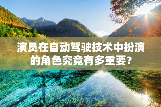 演员在自动驾驶技术中扮演的角色究竟有多重要？