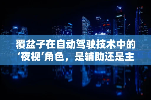 覆盆子在自动驾驶技术中的‘夜视’角色，是辅助还是主角？