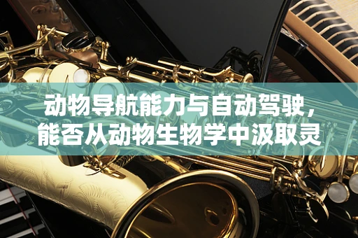 动物导航能力与自动驾驶，能否从动物生物学中汲取灵感？