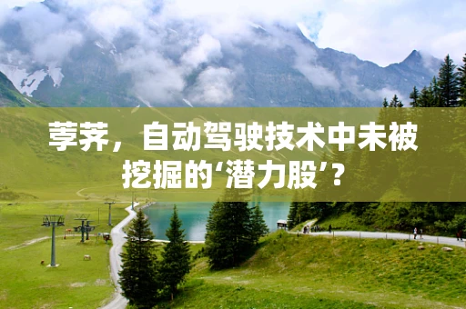 荸荠，自动驾驶技术中未被挖掘的‘潜力股’？