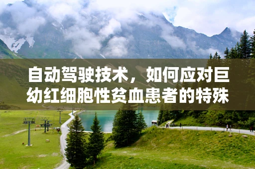自动驾驶技术，如何应对巨幼红细胞性贫血患者的特殊出行需求？