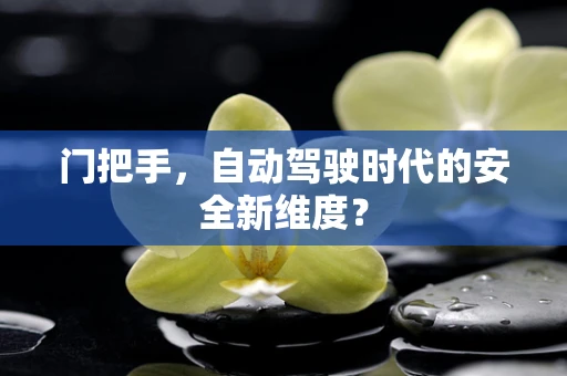 门把手，自动驾驶时代的安全新维度？
