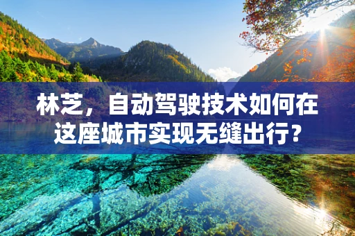 林芝，自动驾驶技术如何在这座城市实现无缝出行？