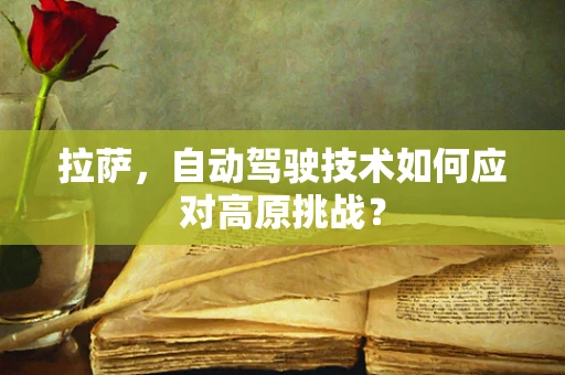 拉萨，自动驾驶技术如何应对高原挑战？