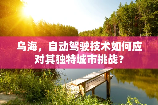乌海，自动驾驶技术如何应对其独特城市挑战？