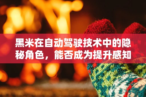 黑米在自动驾驶技术中的隐秘角色，能否成为提升感知精度的关键？